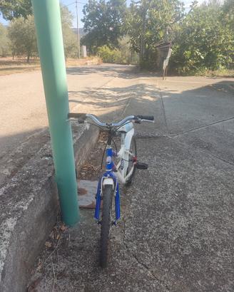 bici Gianni Bugno 20