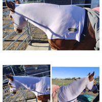 Coperte cavalli varie