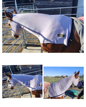 Coperte cavalli varie