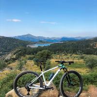 Orbea Alma M-Team Omx