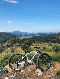 Orbea Alma M-Team Omx