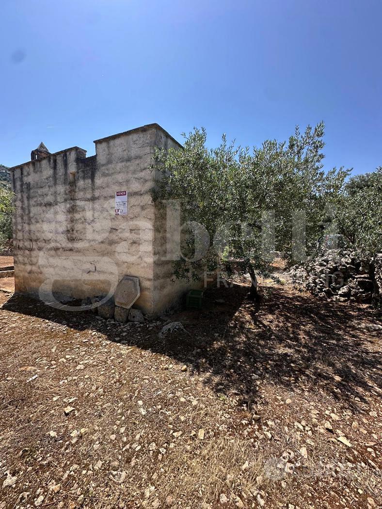 Terreno Agricolo Ostuni [Cod. rif 3234970VCG] - Vista 5
