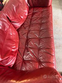 Divani bordeaux in pelle di primo fiore