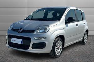 FIAT Panda 3ª serie - Panda 1.2 Lounge U1058413