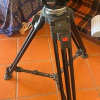 Treppiede Cartoni Focus HD + gambe T627/2 – Ottime