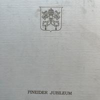 Penna stilografica Pineider Jubileum