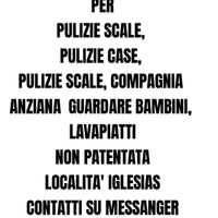 Pulizie scale