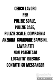 Pulizie scale