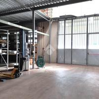 CAPANNONE A SAVIGNANO SUL RUBICONE