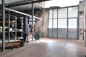 CAPANNONE A SAVIGNANO SUL RUBICONE