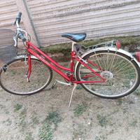 Bicicletta donna