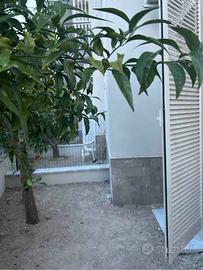 Mini appartamento