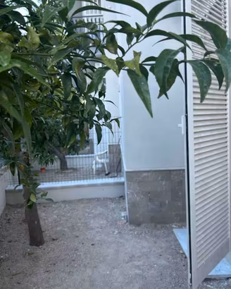 Mini appartamento