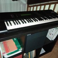 Korg M1 EX (espansione interna a 189 forme d'onda 