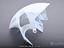 Immagine 12
