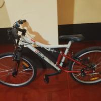 Bici ragazzo e bici donna