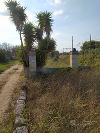 Villa grezza 206 m2