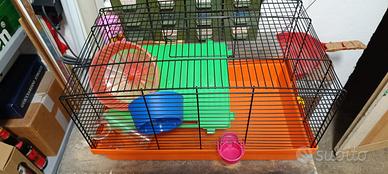 Gabbia gabbietta per criceti