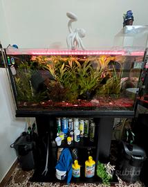 acquario completo 100lt plug and play