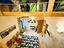 Immagine 21