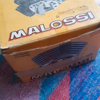 Cilindro-gruppo termico malossi