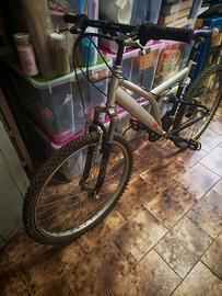 Mountainbike