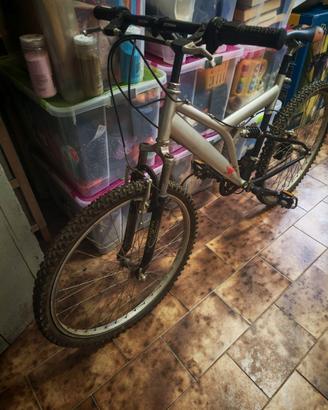 Mountainbike