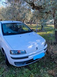 punto 1100 