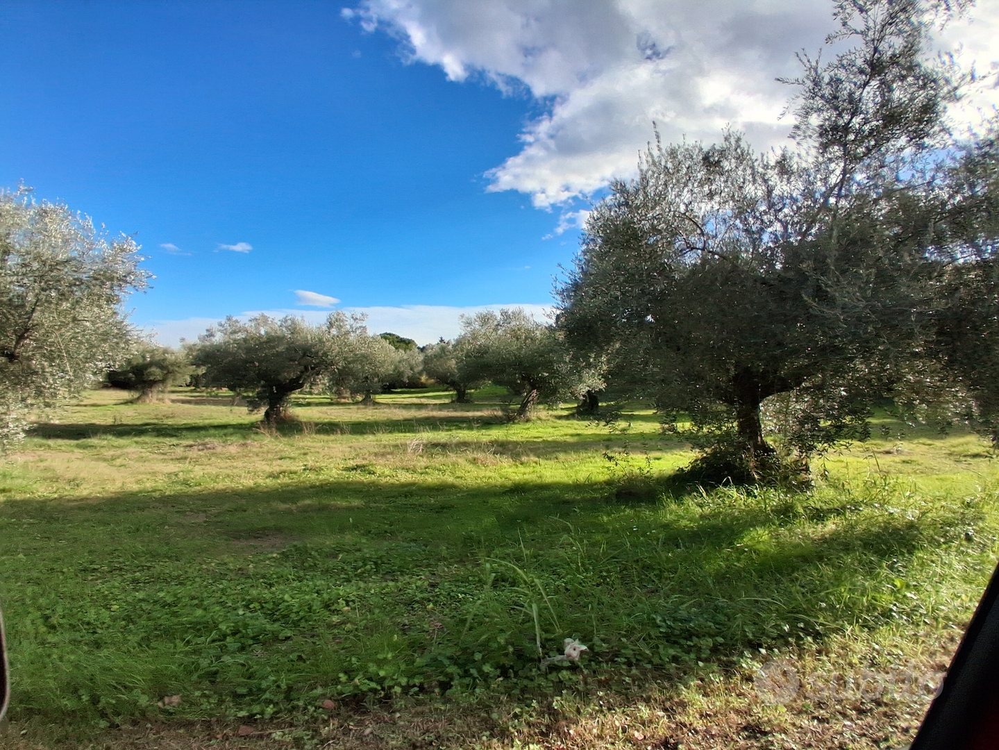 Terreno per attrezzature sportive - Altro