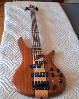 Basso elettrico 5 corde Ibanez SR655 ABS 