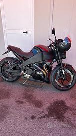Buell XB12Scg modello 2010