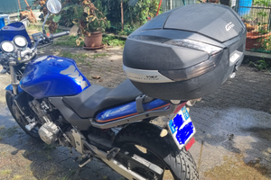 Honda Hornet 600 anno 2002