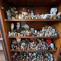 Collezione Gufi