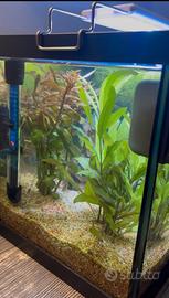 Aqpet acquario in vetro NUOVO