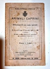 Decreto Legge 1927 Animali Caprini pubblicazione l