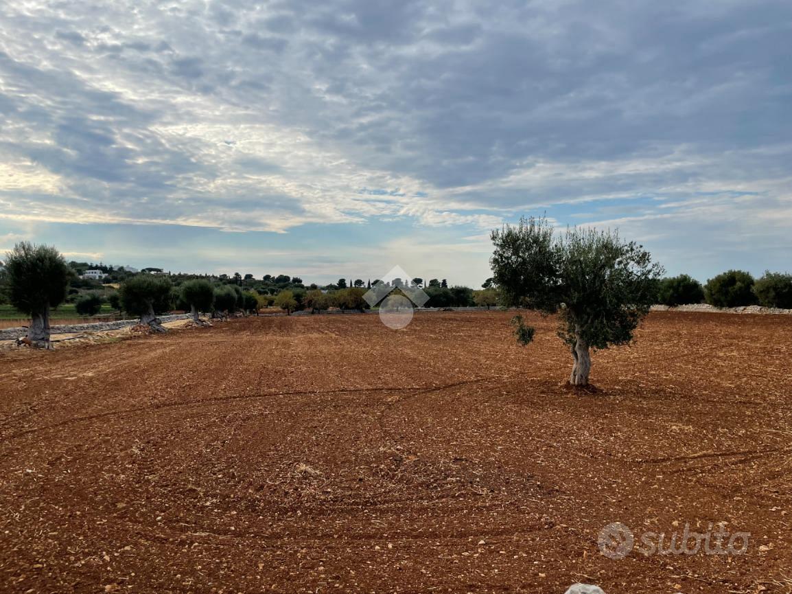 TER. AGRICOLO A POLIGNANO A MARE - Vista 5