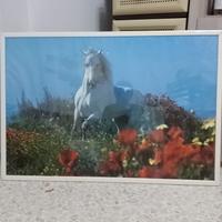 quadro cavallo 90x60