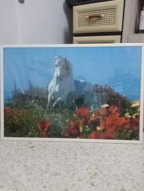 quadro cavallo 90x60