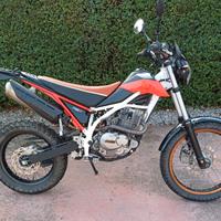 Beta Urban 200