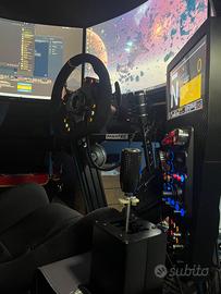 simulatore di guida professionale 