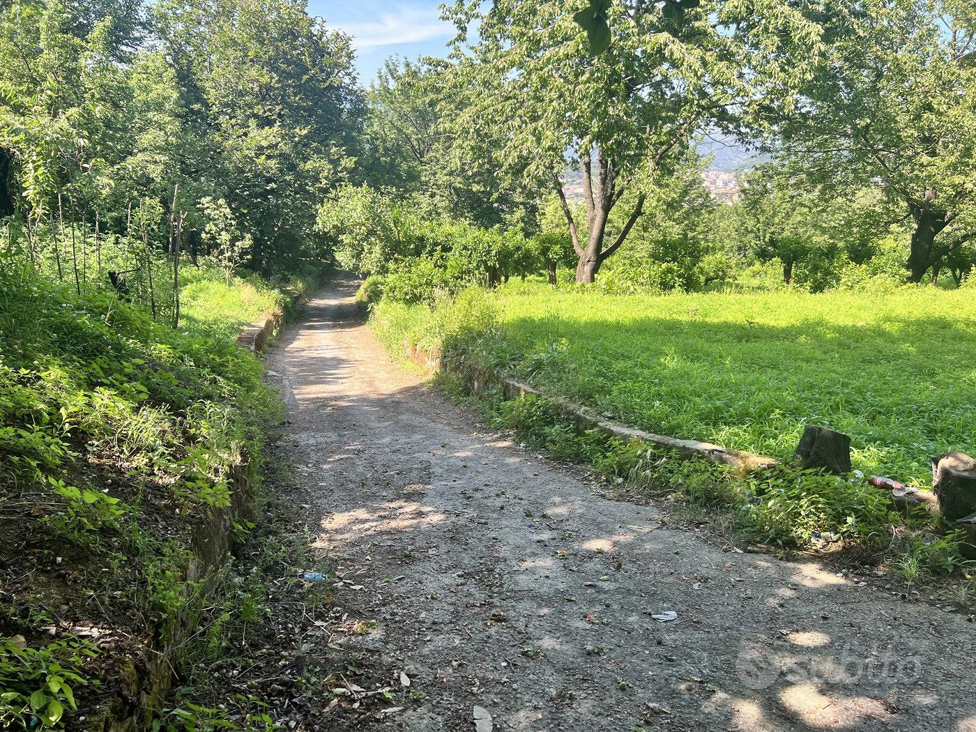 Terreno Agricolo Nocera Superiore - Altro