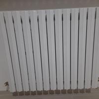 Termosifone in ghisa