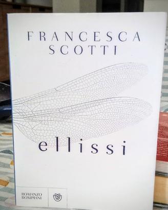 Ellissi di Francesca Scotti