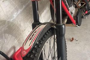 Gas Gas EC 300 - 2010