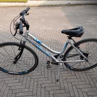 bicicletta da donna 