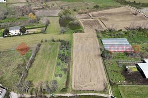 Terreno Agricolo Paolisi [Cod. rif 3187736VCG]