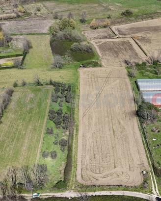 Terreno Agricolo Paolisi [Cod. rif 3187736VCG]