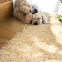 Cuccioli di Labrador retriever con Pedigree Enci