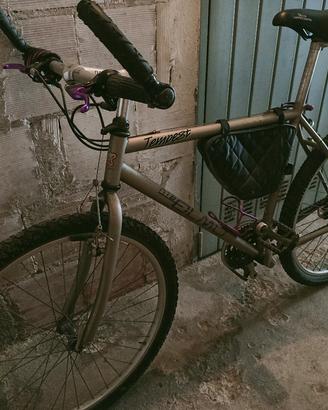 Bicicletta Mountain bike OLMO