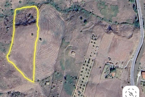 Terra a Petralia Sottana